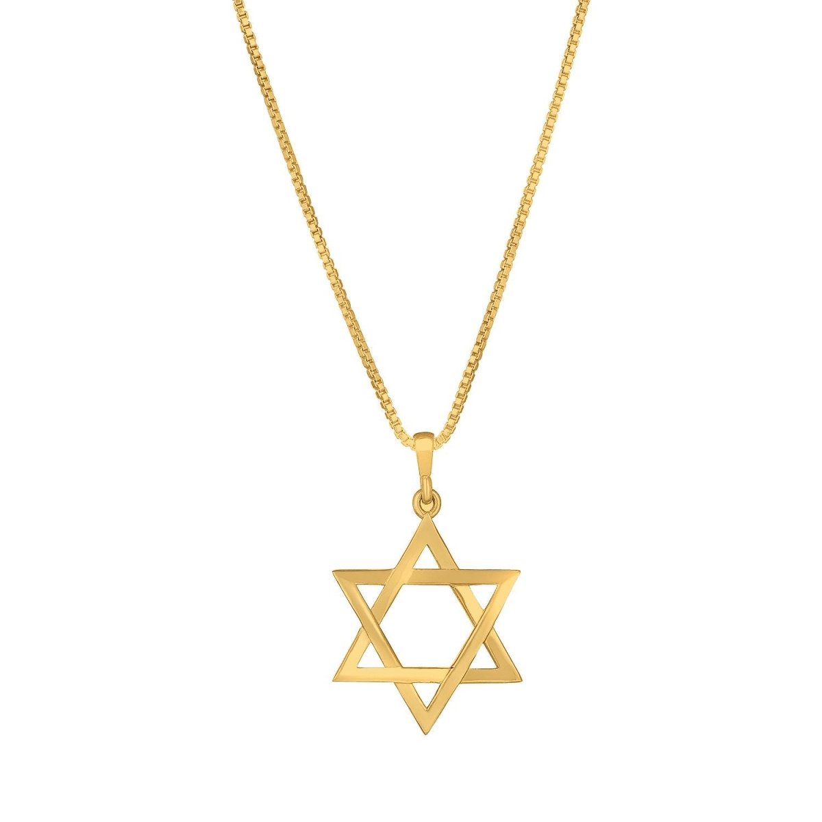 Sterling Silver Star of David Necklace