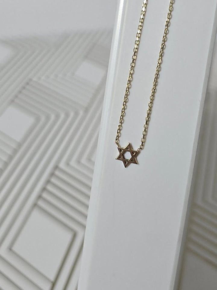 Tiny Gold Star of David Necklace in 14k Yellow Gold